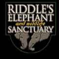 Elephants Sanctuary